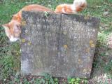 image of grave number 194347